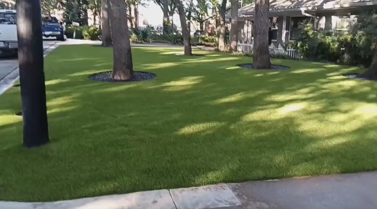 Front Yard Refresh